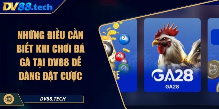 Những Điều Cần Biết Khi Chơi Đá Gà Tại DV88 Dễ Dàng Đặt Cược 7 Những Điều Cần Biết Khi Chơi Đá Gà Tại DV88 Dễ Dàng Đặt Cược